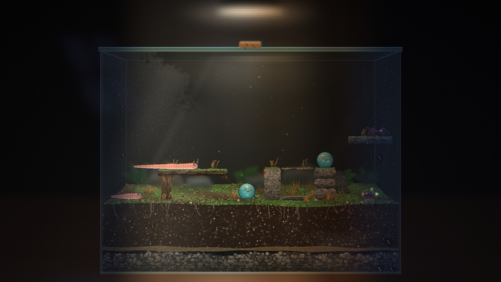 Terrarium cover